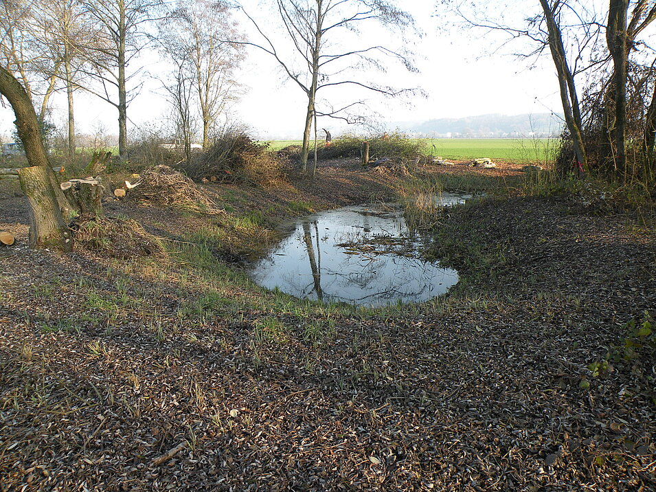 [Translate to Französisch:] Natur Bach