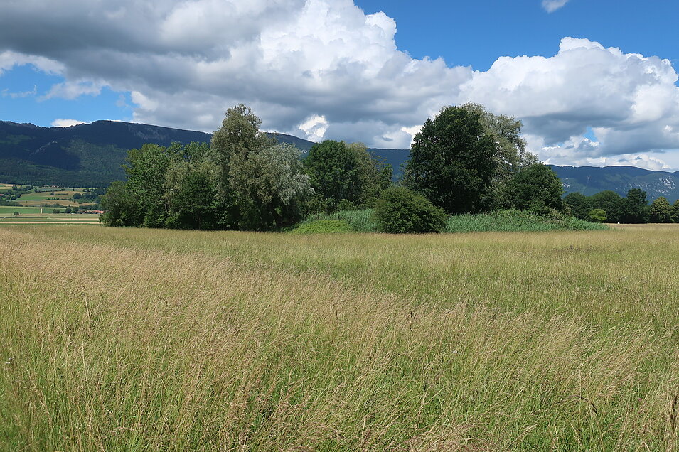 [Translate to Französisch:] Landschaft